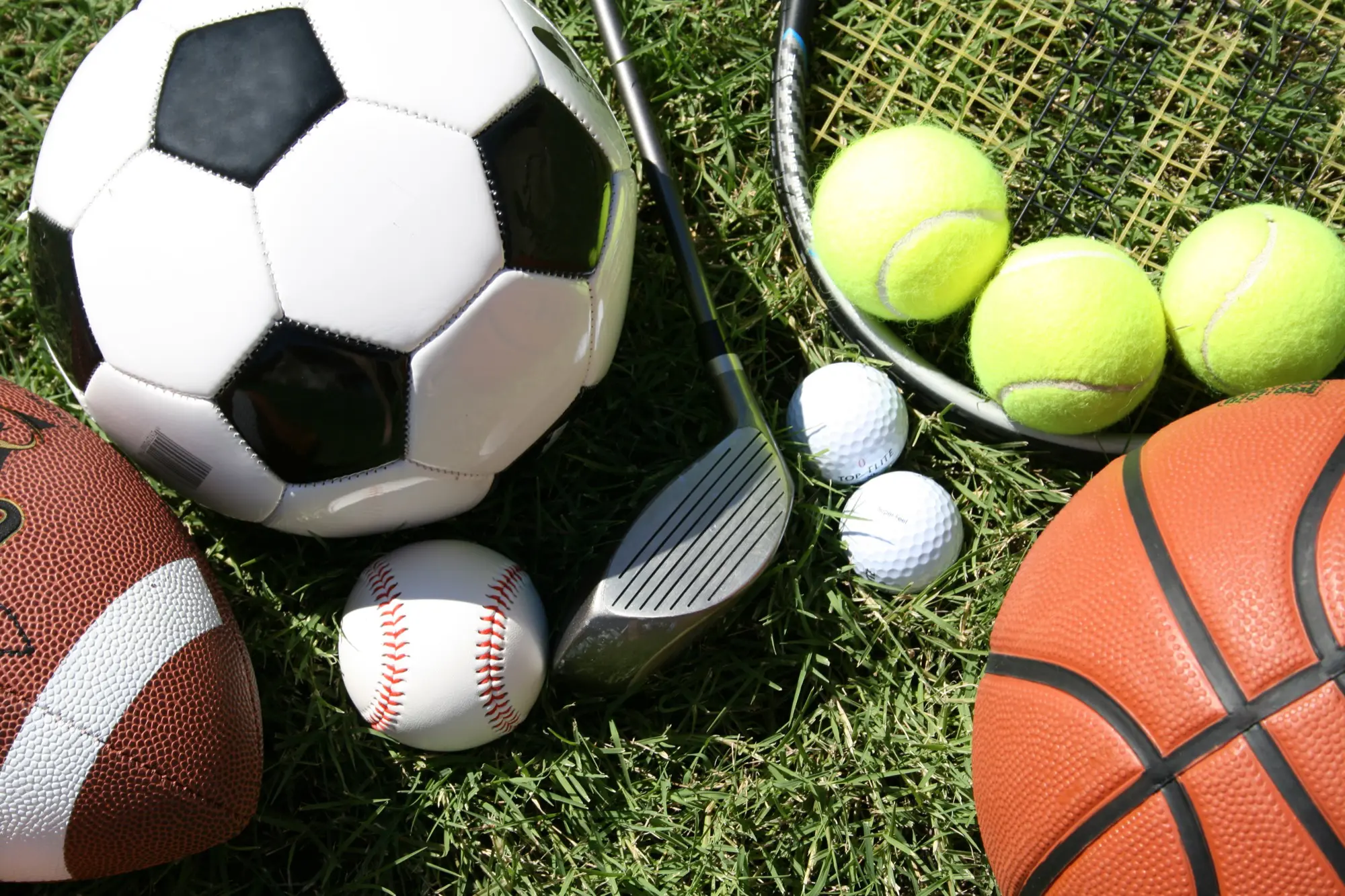 about gippsland sports